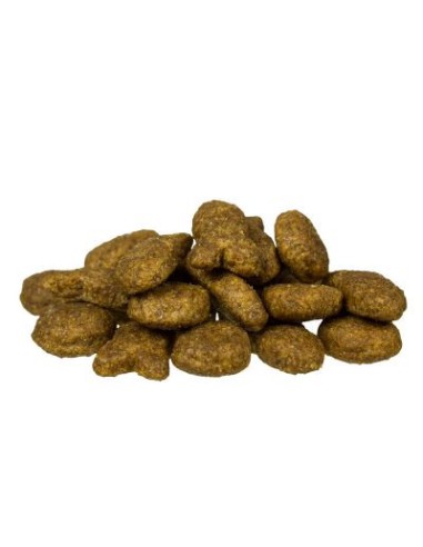 Bosch Adult Poisson/Pomme de Terre