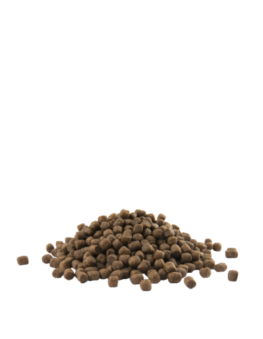 Mini Puppy - Opti-Life - Croquettes chiots