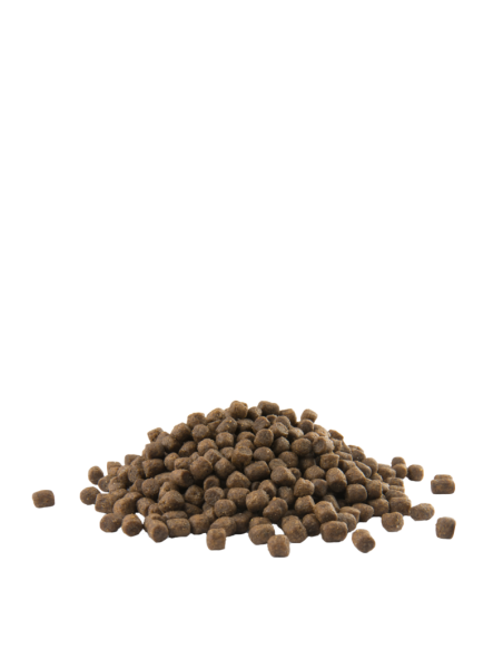 Mini Puppy - Opti-Life - Croquettes chiots