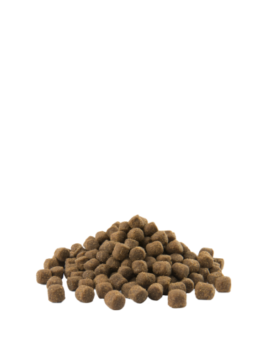 Mini Adult Digestion - Opti-Life - Croquettes...