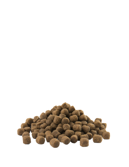 Mini Adult Digestion - Opti-Life - Croquettes chiens adultes