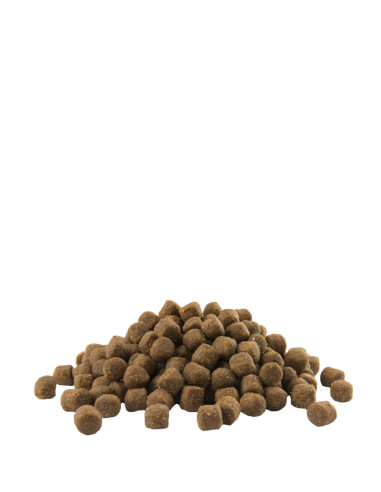 Medium Puppy - Opti-Life - Croquettes chiots...