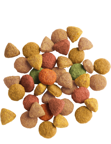 Lara Adult Dinde/Poulet