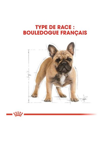 Bulldog Français - Royal Canin -Croquettes pour chiens adultes