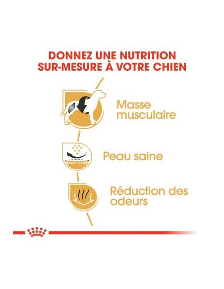 Bulldog Français - Royal Canin -Croquettes pour chiens adultes