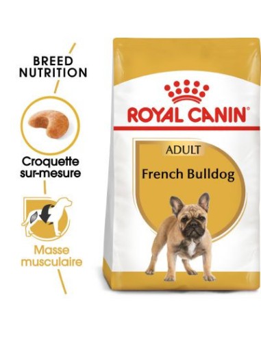Bulldog Français - Royal Canin -Croquettes pour chiens adultes