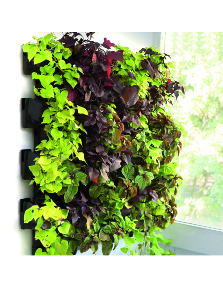 MODULE MURAL VERSA GARDEN HYDROPONIC PLUS