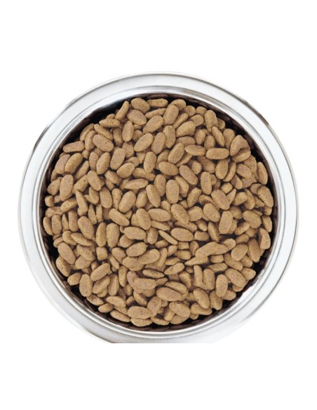 Mini Adult Sensitive Skin - Pro Plan - Croquettes chiens adultes