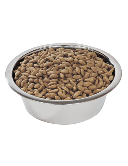 Medium Adult Sensitive Skin - Pro Plan - Croquettes chiens adultes