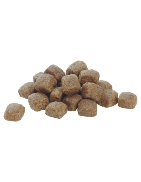 Medium et Large Senior - Pro Plan - Croquettes pour chiens seniors