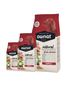 OWNAT - Chien Classic Complet
