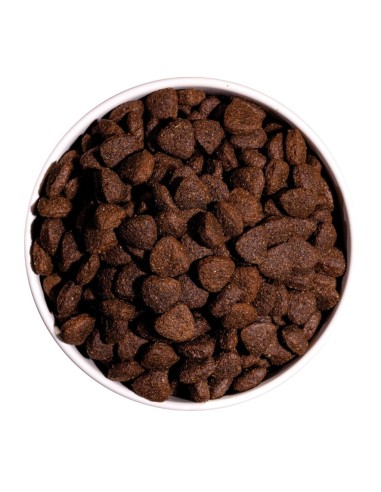 OWNAT - Chien Classic Agneau