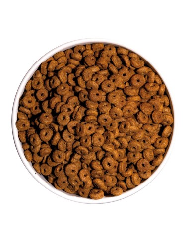 OWNAT - Chat Classic Daily Care