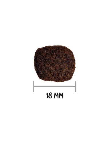 OWNAT - Chien GF HYPO Agneau