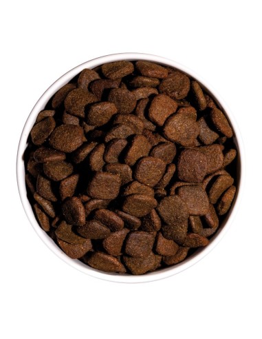 OWNAT - Chien GF HYPO Saumon