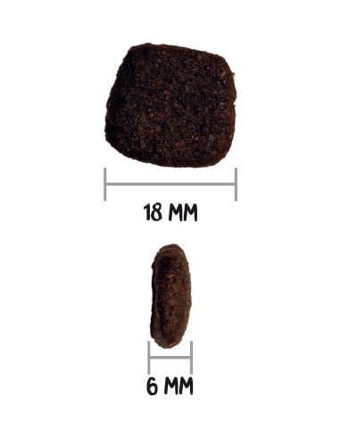 OWNAT - Chien GF HYPO Saumon