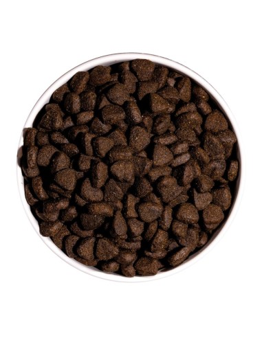 OWNAT - Chien Just GF Saumon&Poisson