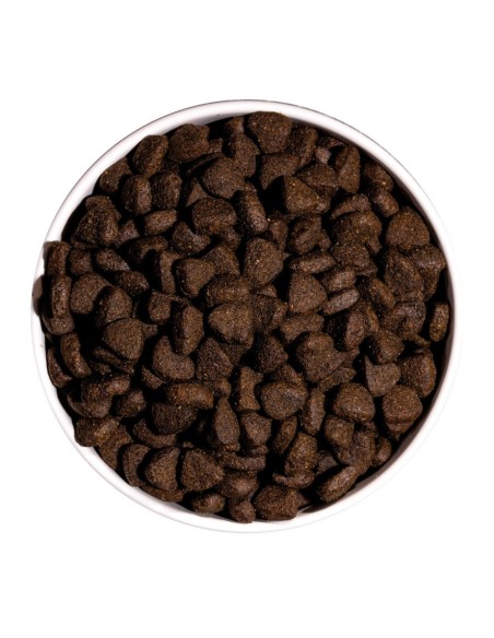 OWNAT - Chien Just GF Saumon&Poisson