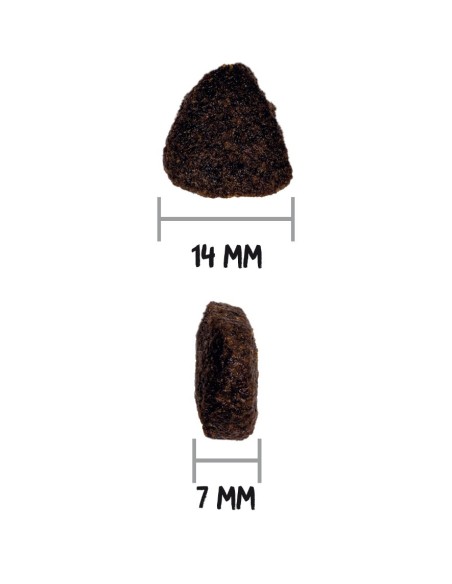 OWNAT - Chien Just GF Saumon&Poisson