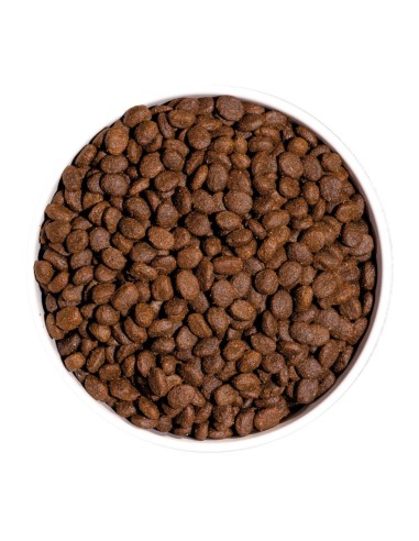 OWNAT - Chat GF Prime Adult Poulet Dinde