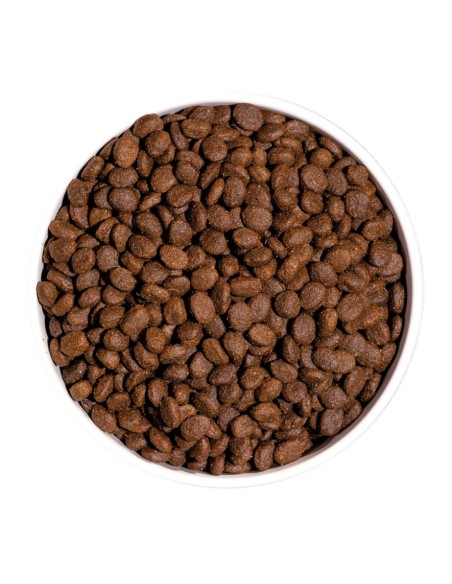 OWNAT - Chat GF Prime Adult Poulet Dinde