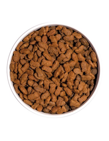 OWNAT - Chat GF Prime Sterilised Poisson