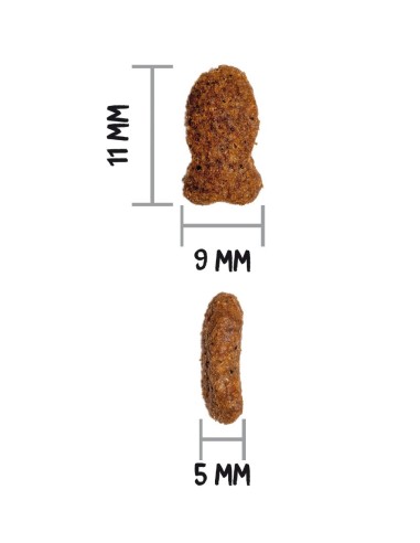 OWNAT - Chat GF Prime Sterilised Poisson
