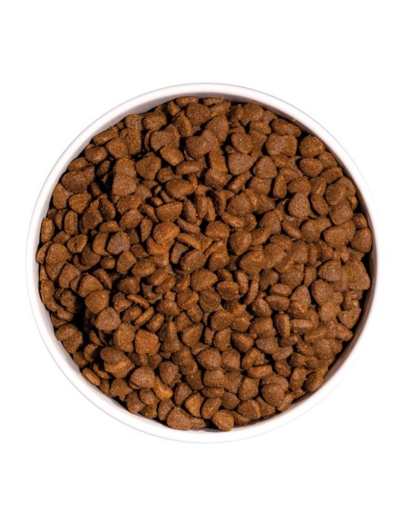 OWNAT - Chat Just GF Adult Poulet