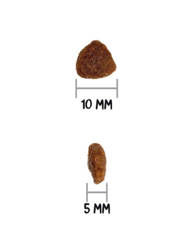 OWNAT - Chat Just GF Adult Poulet