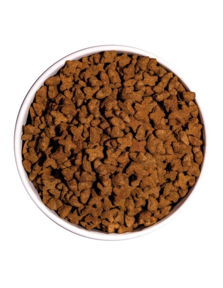 OWNAT - Chat Just GF Sterilised