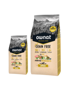 OWNAT - Chien Just GF Junior