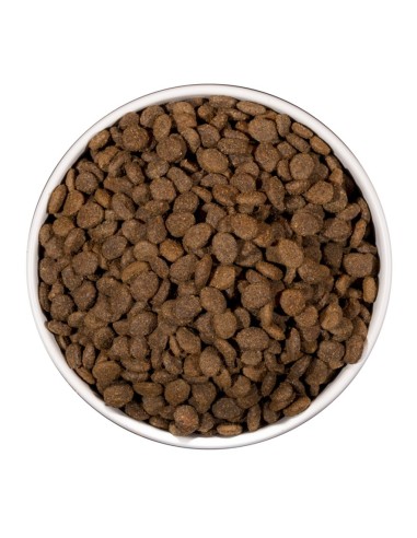 OWNAT - Chat Care Renal