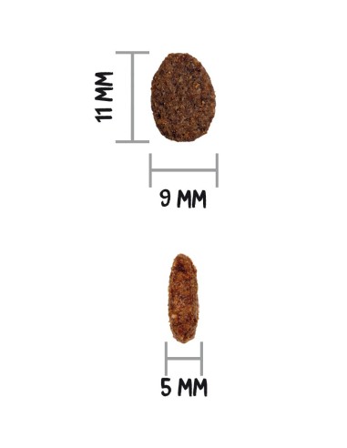 OWNAT - Chat Care Renal