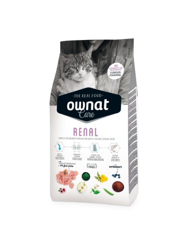 OWNAT - Chat Care Renal
