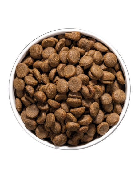 OWNAT - Chien Care Dermatologic