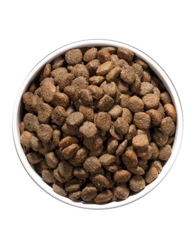 OWNAT - Chien Care Digestive