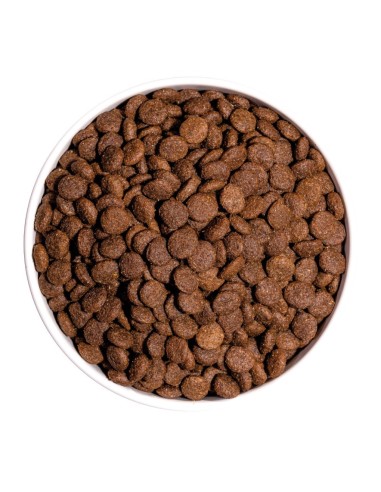 OWNAT - Chien Classic Mini Adult