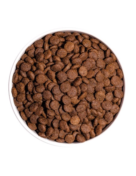 OWNAT - Chien Classic Mini Adult