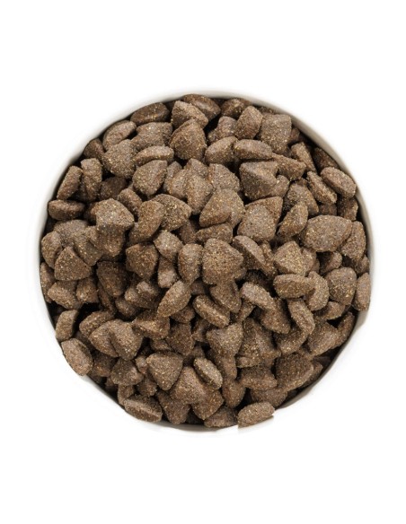 Ownat Chien GF Prime Adult Agneau 12kg