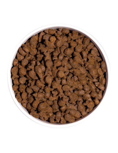 Ownat Chien Just GF Truite