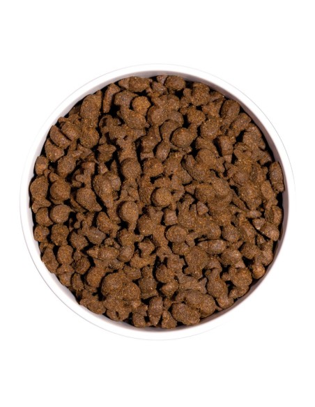 Ownat Chien Just GF Truite