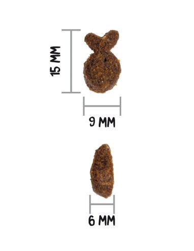 Ownat Chien Just GF Truite