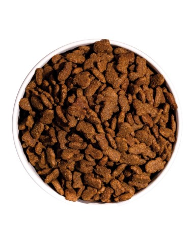 Ownat Chat Classic Fish