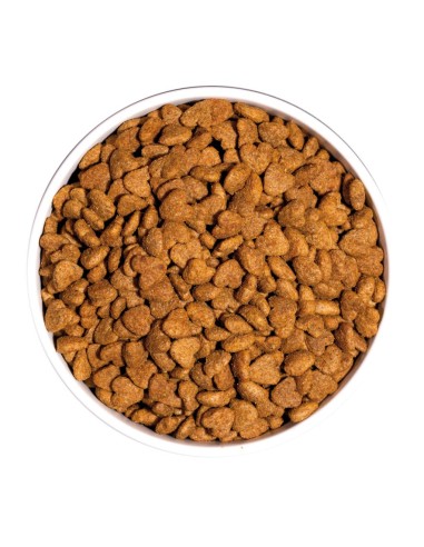 Ownat Chat Classic Light