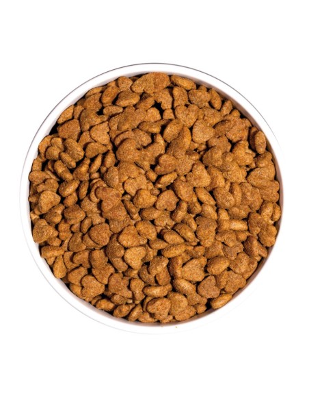 Ownat Chat Classic Light