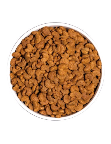 Ownat Chat Classic Hairball