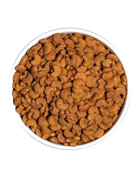 Ownat Chat Classic Hairball