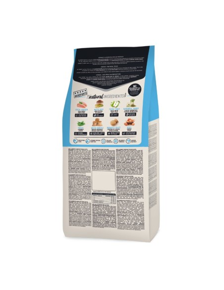 OWNAT - Classic Chaton