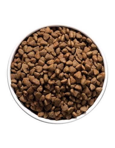 Ownat Chat Care Hypoallergenic