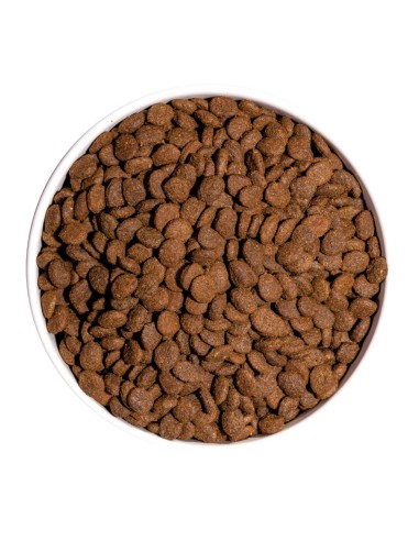 Ownat Chat GF Prime Sterilised Poulet Dinde